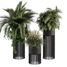 Indoor plant plant set in round stand black pot